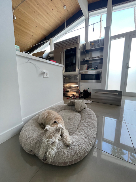 Sub_Zero_Refrigerato1